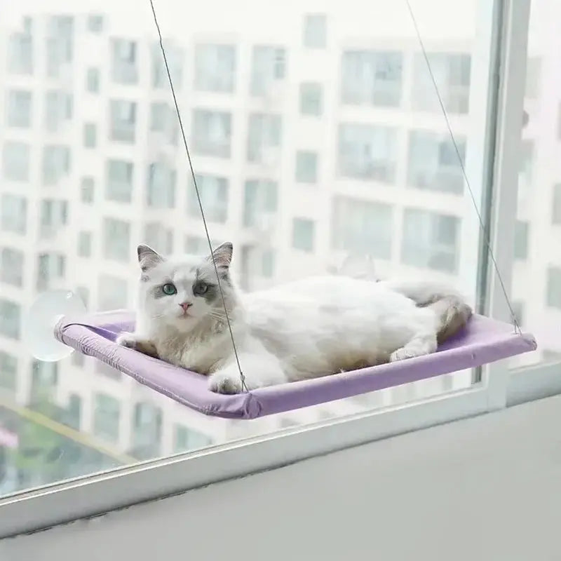 Ultra-Soft Cat Window Hammock Bed - Cozy Cloud-Like Perch for Feline Naptime - Securely Mounted, Perfect Space-Saving Les animaux connectés 🐕📱