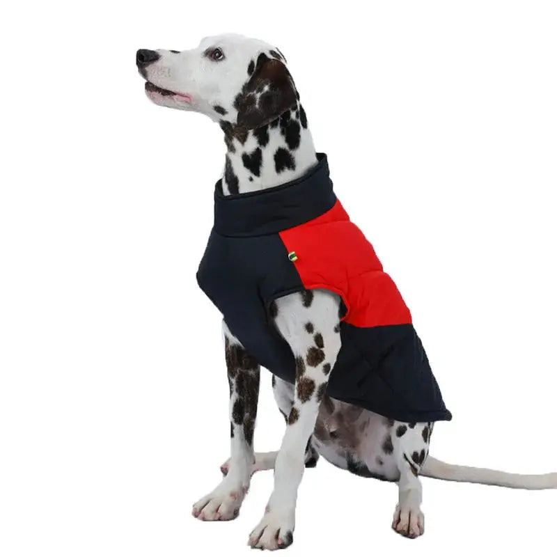 Winter Warm Dog Clothes For Small Large Dogs Outdoor Windproof Waterproof Puppy Jacket Pet Labrador Golden Retriever Costume Les animaux connectés 🐾